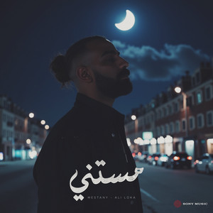 Mestany - مستني by Ali Loka