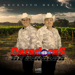 Cazadores de Sinaloa poster