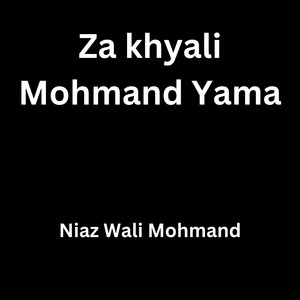 Niaz Wali Mohmand - Za khyali Mohmand Yama