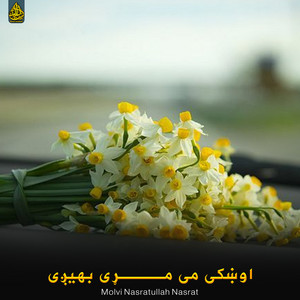 Molvi Nasratullah Nasrat - شوم ده سلګیو بدرګه