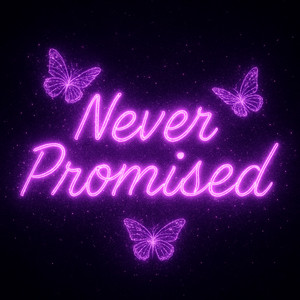 Never Promised by Lesto Fremo