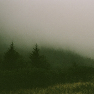 Whispering Love - feat. Grace Wedding by Will McCartt, Grace Wedding