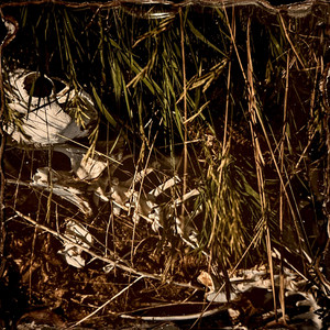 A Straw Man by Holden Ave