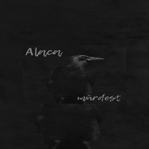 Alaca