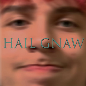 Dissinfectant Wipes - Hail Gnaw