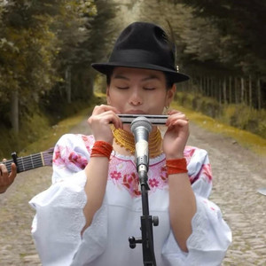 Huauquipuras - Nuestro destino