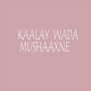 Kaalay Wada Mushaaxne (feat. Bilkhayr Ahmed)