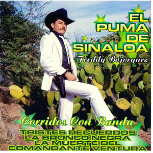 El Puma De Sinaloa - El Indio Zamora