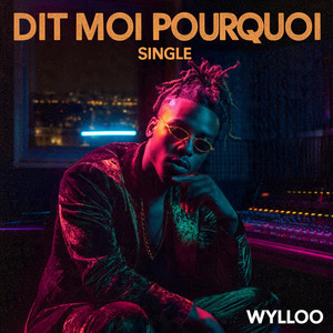 DIT MOI POURQUOI by WYLLOO