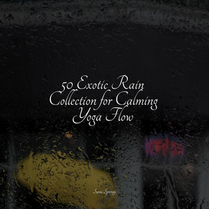 50 Exotic Rain Collection for Calming Yoga Flow album