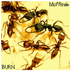 MUFFTRAIN — Burn