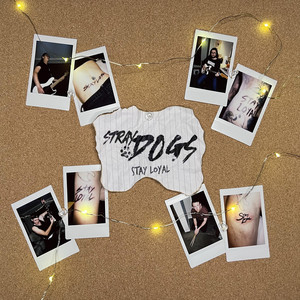 Loser by Stray Dogs