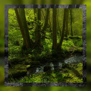 Forest Offerings by Gentle Resonance
