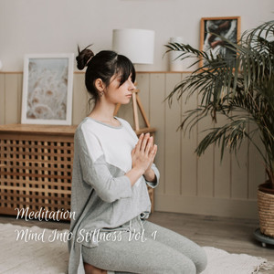 Meditation: Mind Into Stillness Vol. 1 album