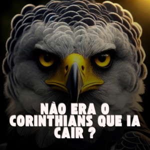 Dj Tchouzen - Não Era o Corinthians Que Ia Cair ?