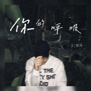 你的呼吸 by 王琪玮