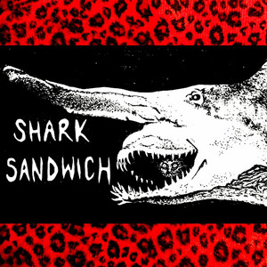 Steam Dream by Shark Sandwich