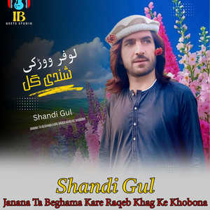 Shandi Gul - Miz Das Qesam Lofar Ye