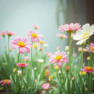 Nayra Solis - Las Estrellas (Live At Kukuta)