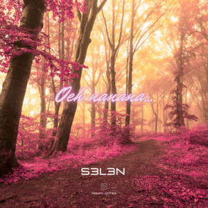 S3L3N — Oeh Nanana - Radio mix