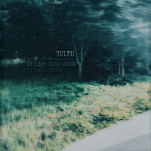 we lost each other by vultu