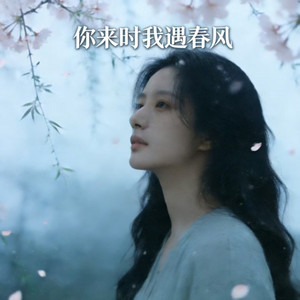 你来时我遇春风