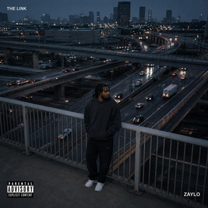 The Link by Zaylo