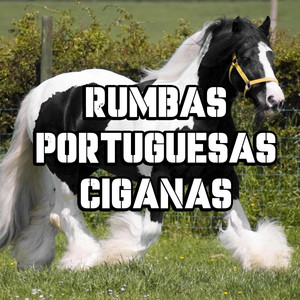 Rumbas Portuguesas Ciganas - Rumba Portuguesa 2025 (Zezinho Cigano)