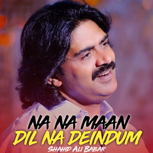 Shahid Ali Babar - Na NA Maan Dil Na Deindum