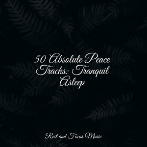 50 Absolute Peace Tracks: Tranquil Asleep album