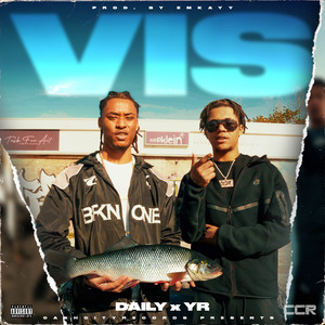 Vis by Daily, Yr