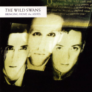 Archangels by The Wild Swans