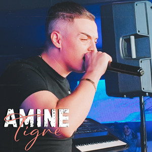 Cheb Amine Tigre - Cha3loli Jamra