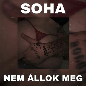 SOHA NEM ÁLLOK MEG by Nemes