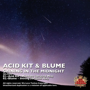Shining - Original Mix by Blume