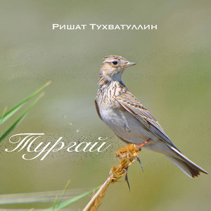 Тургай by Ришат Тухватуллин