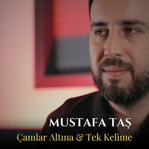 Mustafa Taş - Çamlar Altına / Tek Kelime