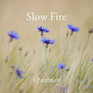 Slow Fire