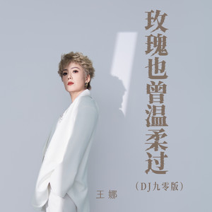 玫瑰也曾温柔过 - Dj九零版 by 王娜, 九零