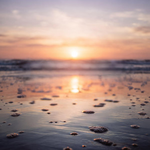 In Search of Peace by Lady Vanci