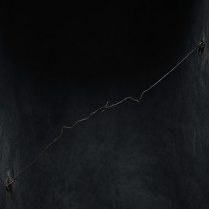 Fragile Pulse Theory by Sophi T