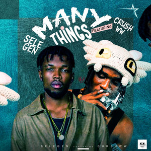 Many Things by Selegen, Crushww