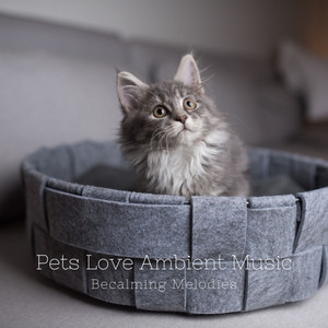 Pets Love Ambient Music: Becalming Melodies album