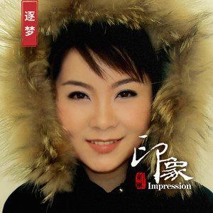 童丽Tong Li | Spotify
