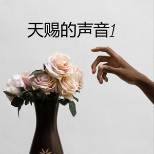 天赐的声音1