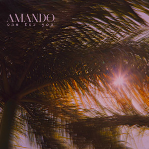 One For You by AMANDO