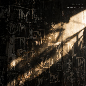 In The Daylight by True Mate
