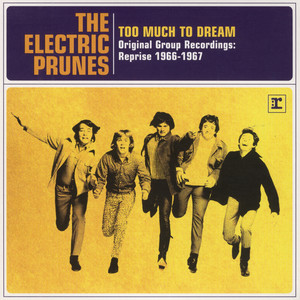 Ain't It Hard - Single Version; 2007 Remaster by The Electric Prunes