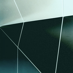 Portada de Silicon Lifeforms
