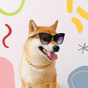 Easy Ambiance for Calm Pups album